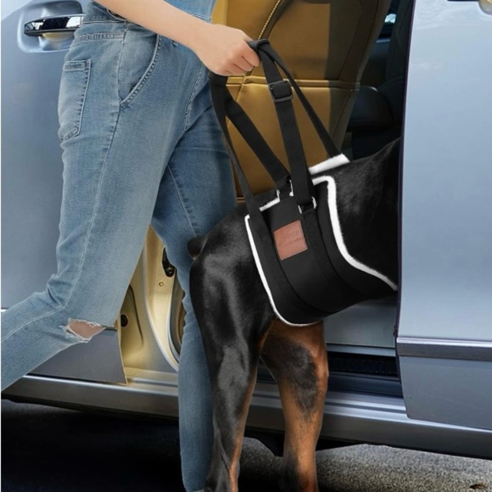Dog harness